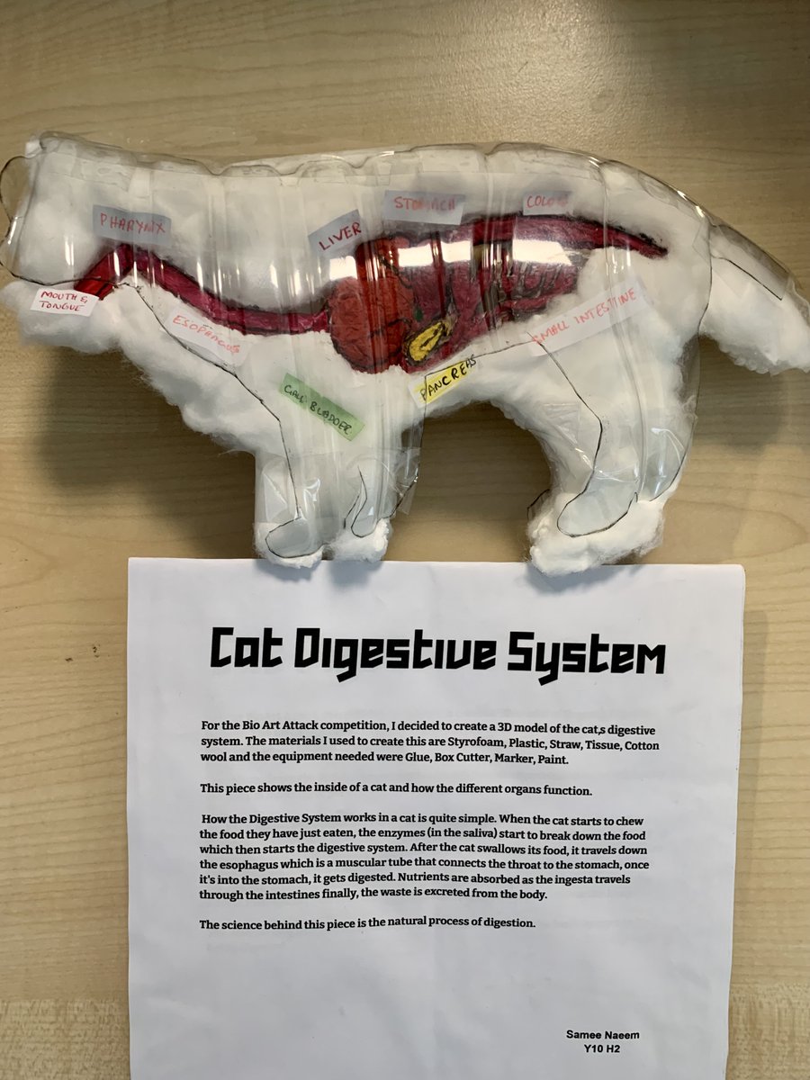 lister_science's tweet photo. Some of the incredible entries to the #biologyweek BioArtAttack Competition including an electric circuit modelling the electrical impulses in a nerve cell! https://t.co/swjSCh85Dv