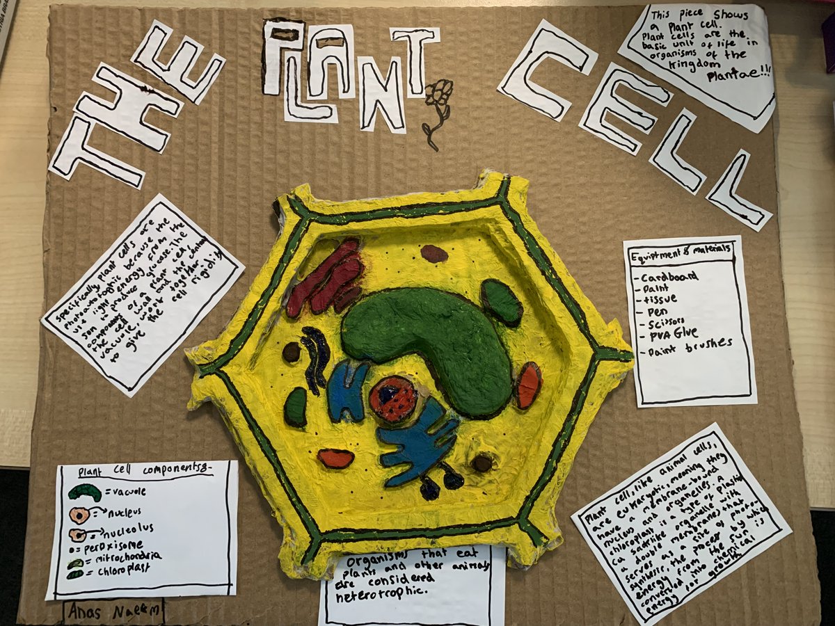 lister_science's tweet photo. Some of the incredible entries to the #biologyweek BioArtAttack Competition including an electric circuit modelling the electrical impulses in a nerve cell! https://t.co/swjSCh85Dv