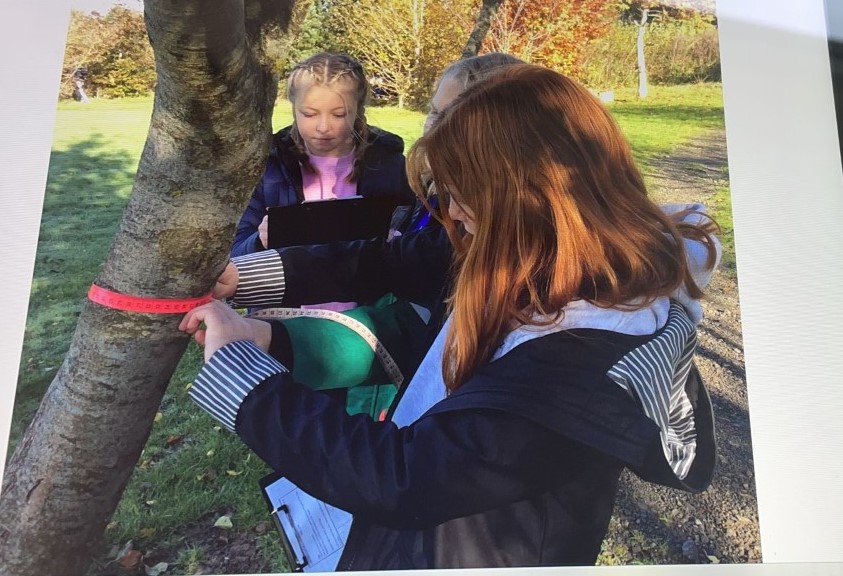 CpCrossgates's tweet photo. Dosbarth Pen y fan completed their maths lesson outside. We reinforced our measuring skills, measuring the tree girth / stick length to the nearest cm / half cm.
Some of Group Glas had chosen the trundle wheel to measure but then we discussed appropriate measuring instruments. https://t.co/I1ddxtJOJZ