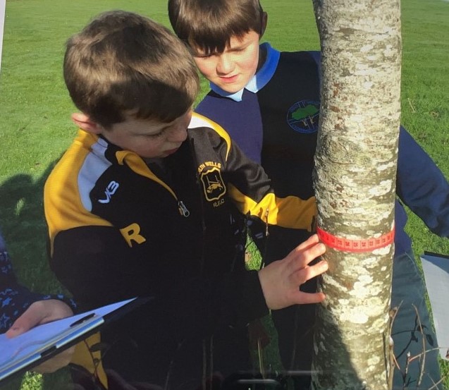 CpCrossgates's tweet photo. Dosbarth Pen y fan completed their maths lesson outside. We reinforced our measuring skills, measuring the tree girth / stick length to the nearest cm / half cm.
Some of Group Glas had chosen the trundle wheel to measure but then we discussed appropriate measuring instruments. https://t.co/I1ddxtJOJZ
