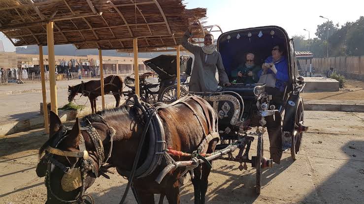 Hola <a href="/civitatis/">Civitatis</a> 👋🏻Estamos recién embarcados en crucero del Nilo a través vuestro🤗Estaría más q genial al hacer la reserva poder escoger no subir en calesa en Edfu. Es horrible el maltrato y estado d estos animales.Hemos pedido hacerlo en tuktuk y no lo aseguran. Podéis mediar?