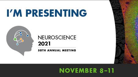 The Haptic Perception Lab tweet media