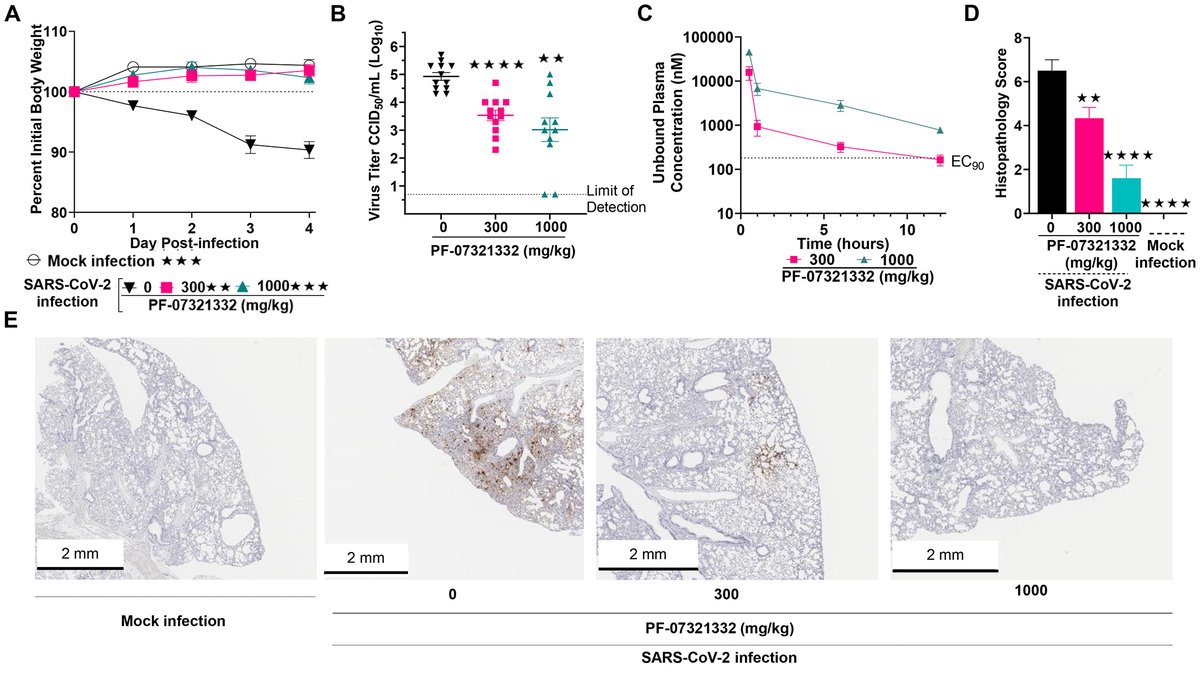abledoc's tweet photo. An Orally Available, Potent designer Small Molecule Inhibitor of SARSCov2 Main Protease, with low off target activity from Pfizer. It has activity against other coronaviruses as well due to 100% homology at the catalytic site. #COVID19 #ProteaseInhibitor #MainProtease https://t.co/hyUygMNFla