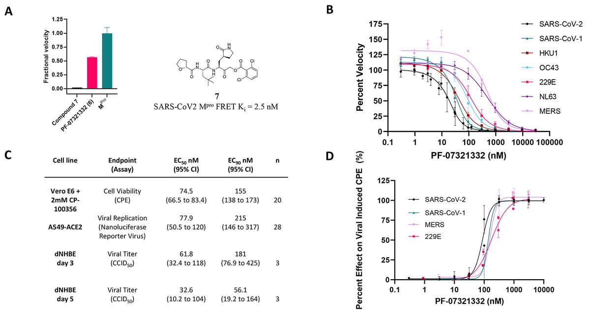 abledoc's tweet photo. An Orally Available, Potent designer Small Molecule Inhibitor of SARSCov2 Main Protease, with low off target activity from Pfizer. It has activity against other coronaviruses as well due to 100% homology at the catalytic site. #COVID19 #ProteaseInhibitor #MainProtease https://t.co/hyUygMNFla