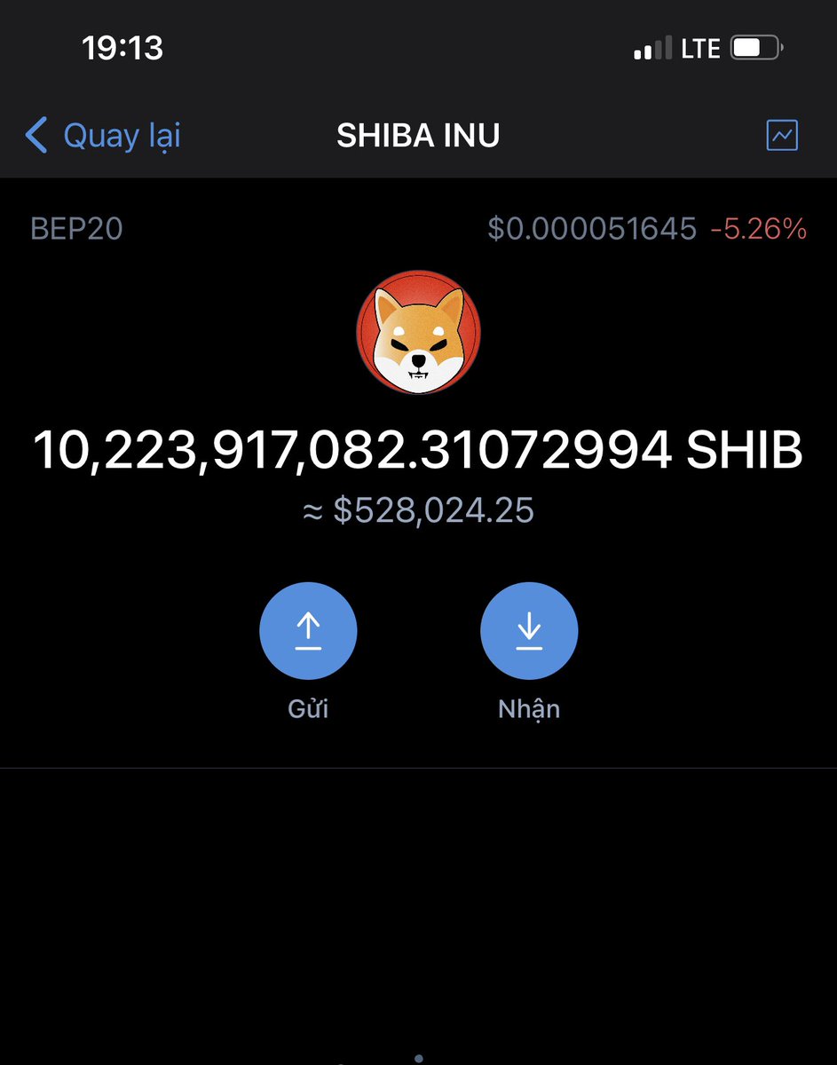 Shiba Inu Investment Fund tweet media