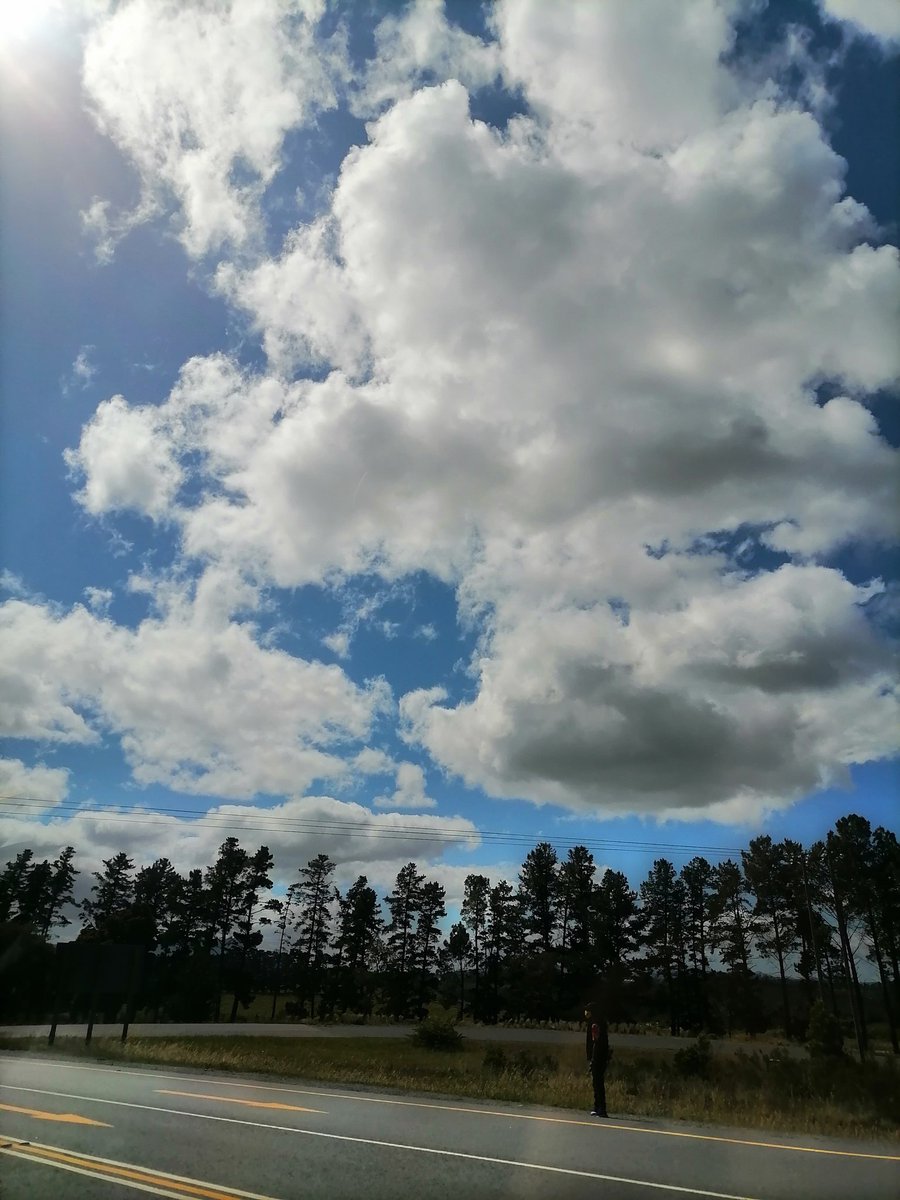 amylew_official's tweet photo. #southafrica #capetown #naturephotography #naturelovers #nature_photo #photography #green #blue #sun #beautifuldestinations #cloud #mountains #flowers #natureistrending #sunrays #dayout #hottentotshollandmountains #hottentotshollandnaturereserve https://t.co/BpZUjtvKVc