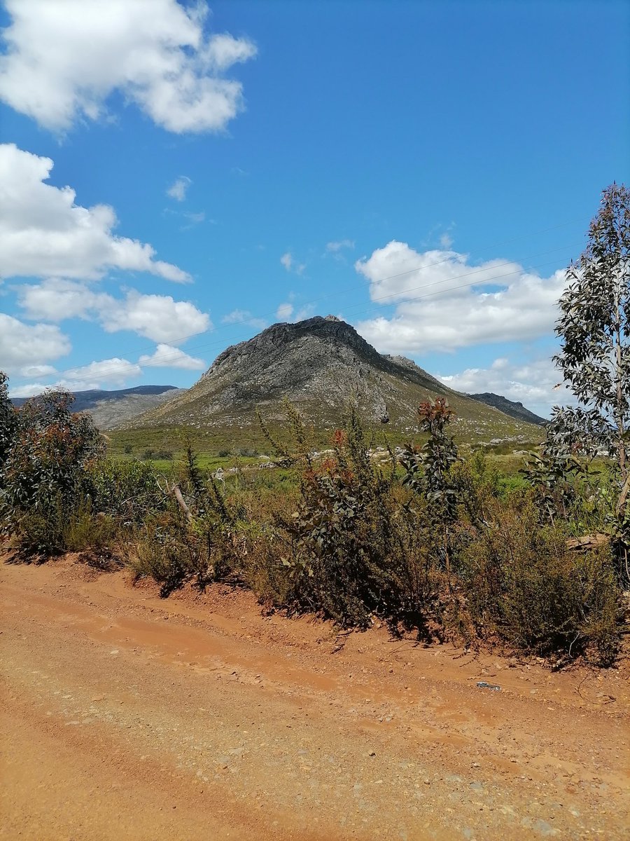 amylew_official's tweet photo. #southafrica #capetown #naturephotography #naturelovers #nature_photo #photography #green #blue #sun #beautifuldestinations #cloud #mountains #flowers #natureistrending #sunrays #dayout #hottentotshollandmountains #hottentotshollandnaturereserve https://t.co/BpZUjtvKVc