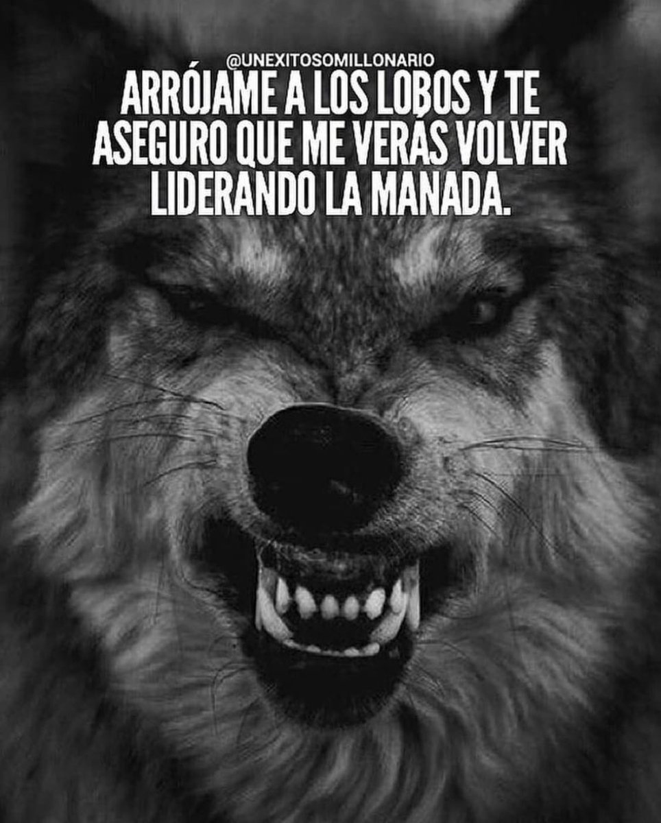 Felipee567's tweet photo. https://t.co/5tUrB6OeF4