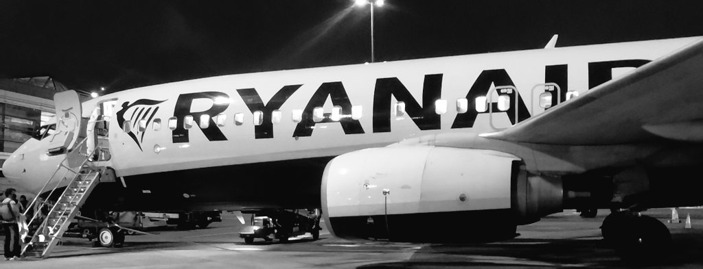 ais_odriscoll's tweet photo. You won't find anyone complaining about the 7am @Ryanair flights these days! 😝

Little bit of ☀️ now and we're sorted ✌️

#FirstFlightBack ✈️ #travel #wedding #friends 🤵👰 https://t.co/apNPBHZnrP