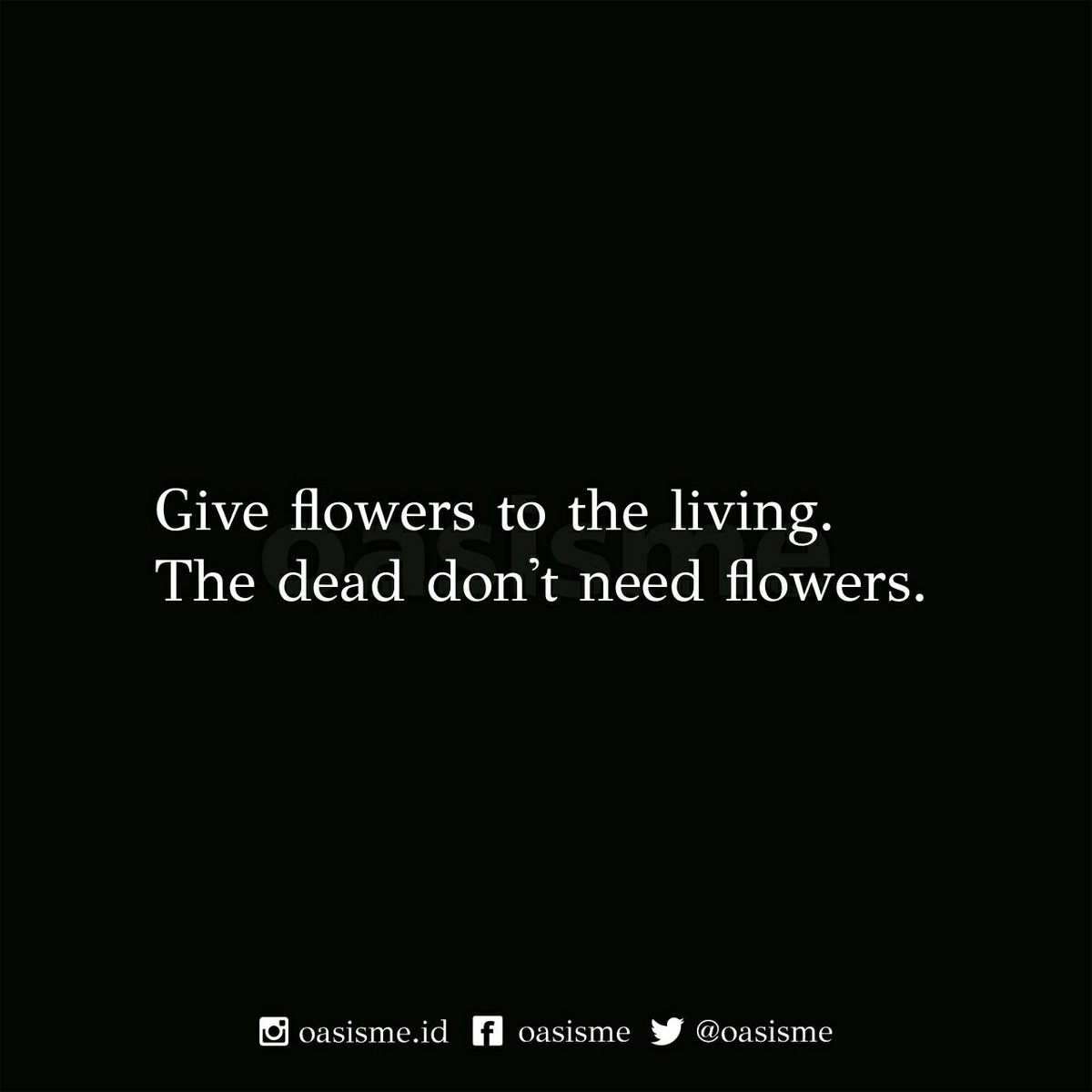 oasisme's tweet photo. Give me flowers 🌹🌹 https://t.co/wf46YW6s2i