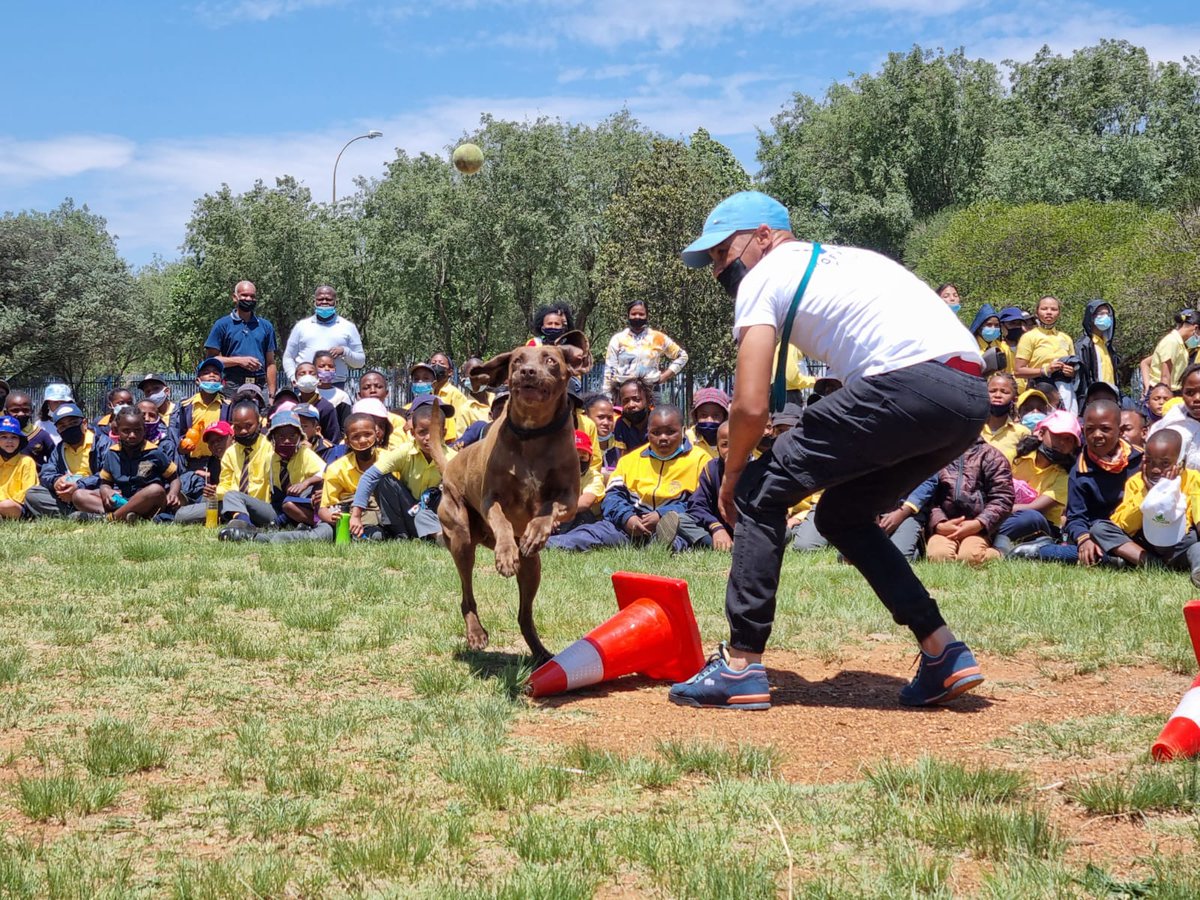 SAPoliceService's tweet photo. #sapsGP #SaferSchools awareness campaign is in full swing at Odin Park Primary School as #SAPS Gauteng joins forces with @GTP_Traffstats, @JoburgMPD, JHB EMS, @Netcare911_sa  and various other stakeholders to ensure all children are safe and feel safe ME https://t.co/90UBXr7i5u