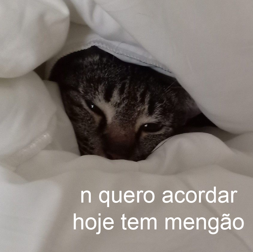 animaizinhos flamenguistas (@flanimais) on Twitter photo 