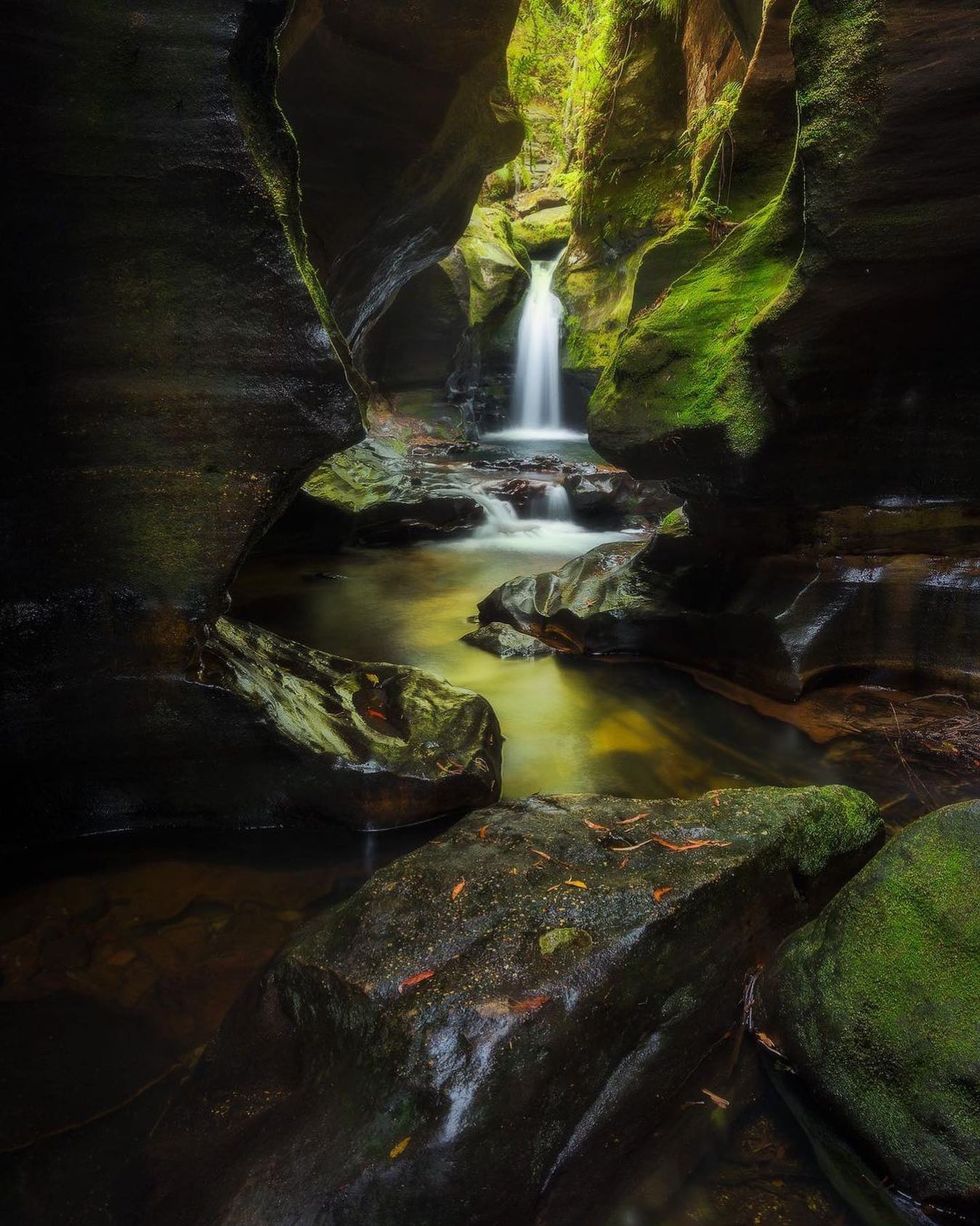 Nisi Filters Japan 苔むした渓谷 を流れる滝が自然の奥深さを感じさせてくれる1枚 Ndフィルターを使用した長時間露光で水流を純白の布のように表現し 滝への視線誘導を高めることでより一層の奥行き感が演出されています T Co Gp0mu9jq1u