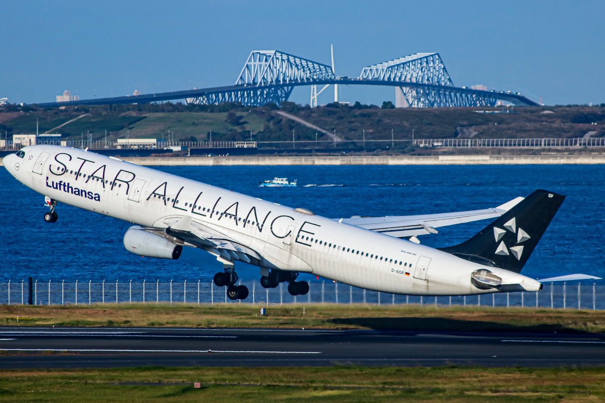 cheggyboat's tweet photo. 2021/11/05  羽田空港第2ターミナル
ルフトハンザ航空
羽田発 フランクフルト行き 
Star Alliance Livery 
Airbus340-313 #daigp #lufthansa https://t.co/31bZmF7JWq