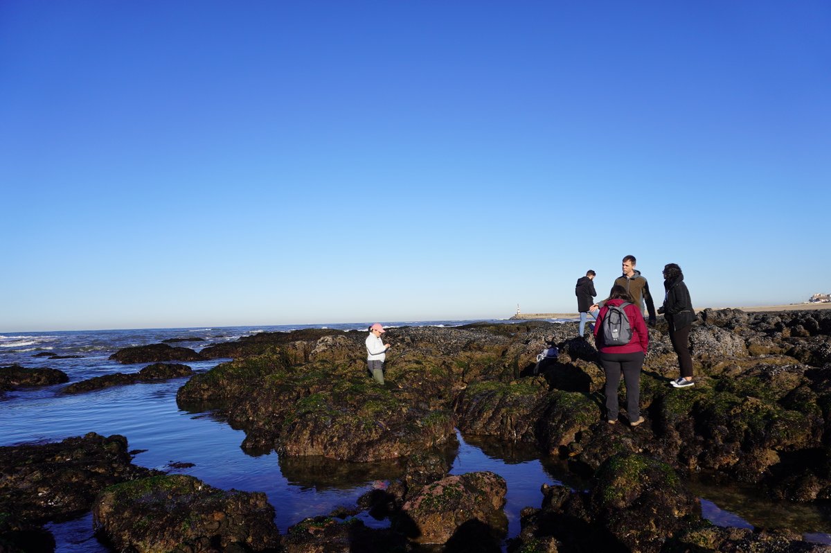 CiimarUp's tweet photo. Did you check your #tidepool today?
Today we are recording the #intertidalzone during the #lowtide to produce more content to our younger publics in @CiimarUp #mission on #oceanliteracy! 🐟🌊 #oceanoptimism #SciComm #ciimarscicomm #filedtrip #tidepools #biodiversity #marinelife https://t.co/rVeU0i7p0m