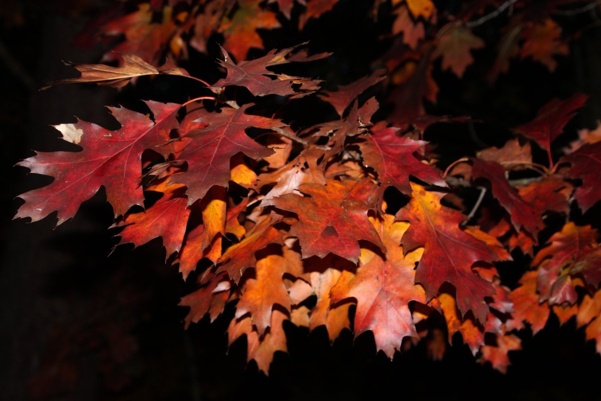 ‘Warmte vasthouden’ is de titel van mijn kersverse nieuwsbrief. Je leest mijn woorden hier: bit.ly/warmtevasthoud…  #schrijven