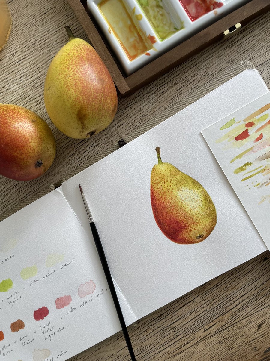 #watercolourpainting
#onlineworkshops

In just 2hrs our class this morning all learnt how to paint pears, step-by step in watercolours.
To sign up for the next class book here👇🏼

botanicalatelier.co.uk/collections/or…