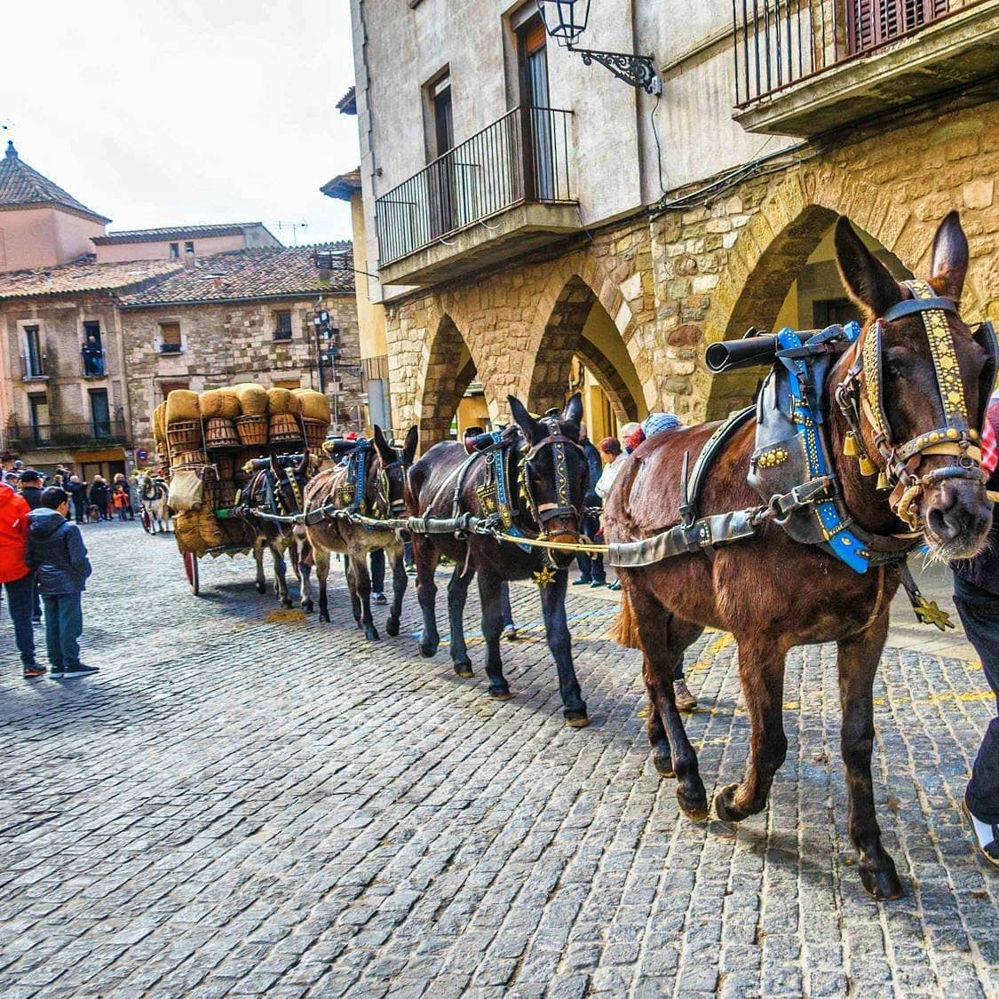 TresTombsMoia's tweet photo. 🐴🐮🚜 Tornen els Tres Tombs de Moià en honor a Sant Antoni Abat!

💉Gràcies a la millora de les dades epidemiològiques, si les condicions ho permeten, podrem celebrar la propera edició dels Tres Tombs de Moià el diumenge 30 de gener de 2022.

▶️ Participacions del número 03411! https://t.co/nh6mCrb5At