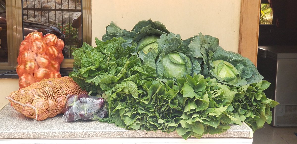 CarolineLubinga's tweet photo. Fresh from Rocky Mountain Farm aka: "Land of Goshen" https://t.co/tf14Re3zMs