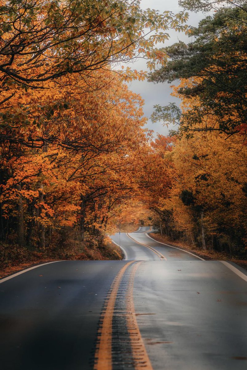 earthcurated's tweet photo. Autumn road trip 🍂 https://t.co/z73bxQHeXb