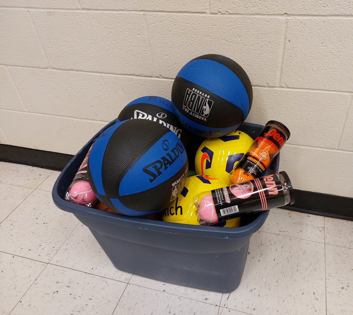 mrrich2015's tweet photo. New playground equipment thanks to our generous school council! https://t.co/6ySuZ9QOfF