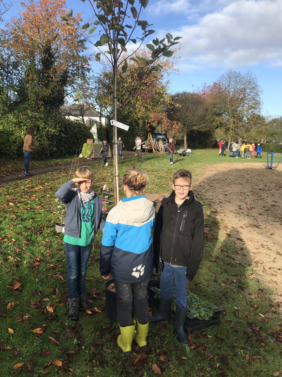 HineHelene's tweet image. Wat een mooie eerste #Natuurwerkdag! Vandaag zijn veel schoolklassen actief. Je kunt immers niet vroeg genoeg beginnen met het leren van de natuur
In Wijk bij Duurstede werd een natuurlijke speelplek gemaakt. Met fruitbomen erbij, kruiden en bloemen. Alles voor de biodiversiteit.