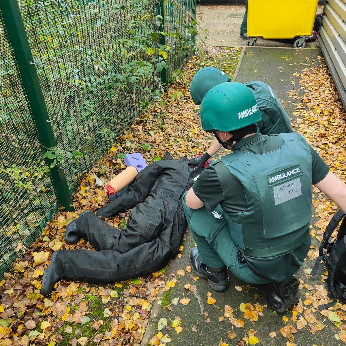 NWAmb_SORT tweet media