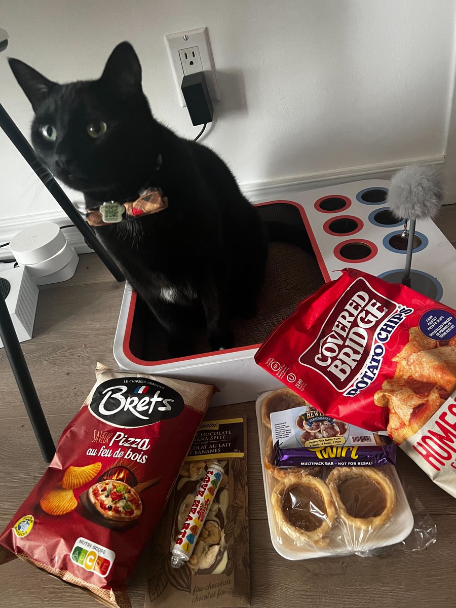 There is a black cat in the photo posing above various snacks like ketchup chips, butter tarts, chocolates and pizza chips.