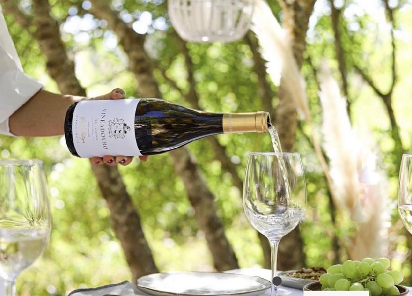 wine_alle's tweet photo. The story of a family that found in Numão the ideal place to settle down and build their life project in a relationship of love for the region that has lasted for over 250 years.

#winetour #winetourism #winetours #winetourist #winetouring #winelover #winescape #partnership https://t.co/auTHTbjBGl