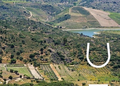 wine_alle's tweet photo. The story of a family that found in Numão the ideal place to settle down and build their life project in a relationship of love for the region that has lasted for over 250 years.

#winetour #winetourism #winetours #winetourist #winetouring #winelover #winescape #partnership https://t.co/auTHTbjBGl