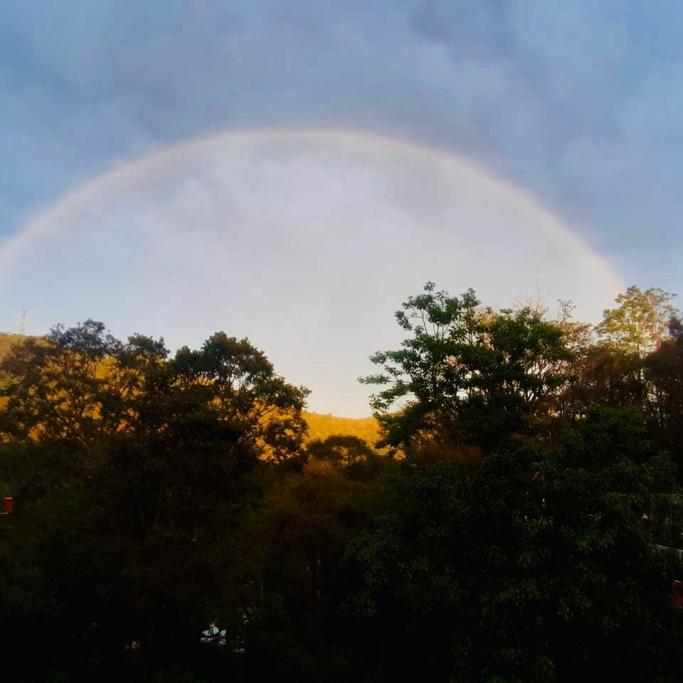 coorgwilderness's tweet photo. How befitting that the sky is lit up by a stunning rainbow during the Festival of Lights?
The view from our deck at Coorg Wilderness Resort certainly stole some hearts today.
#CoorgResort #CoorgLuxuryResort #LuxuryResort #LuxuryHotel #LuxuryTravel #Wilderness #Karnataka https://t.co/eXagfsV5L0