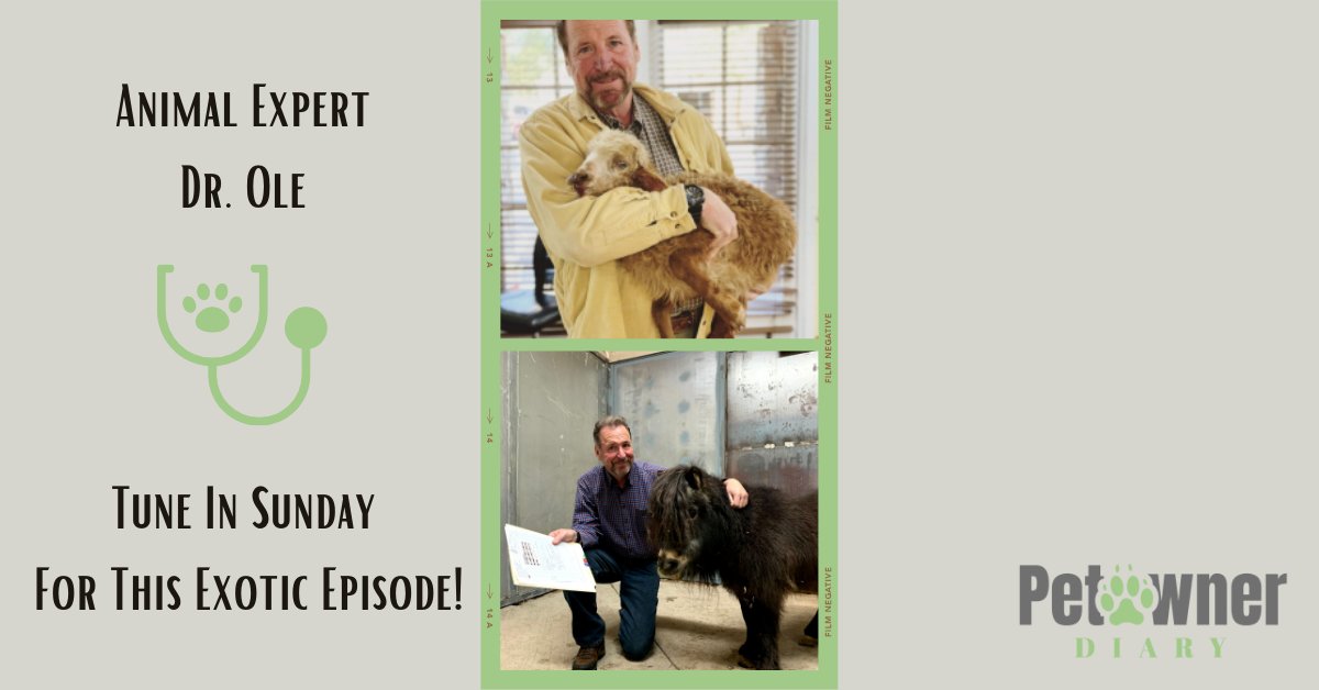 Tune in Sunday as we have the pleasure of talking with Dr. Ole Alcumbrac. The global expert on all things related to animals. #petownerdiary #petpodcast #exoticvet #conservationmedicine #nationalgeographic