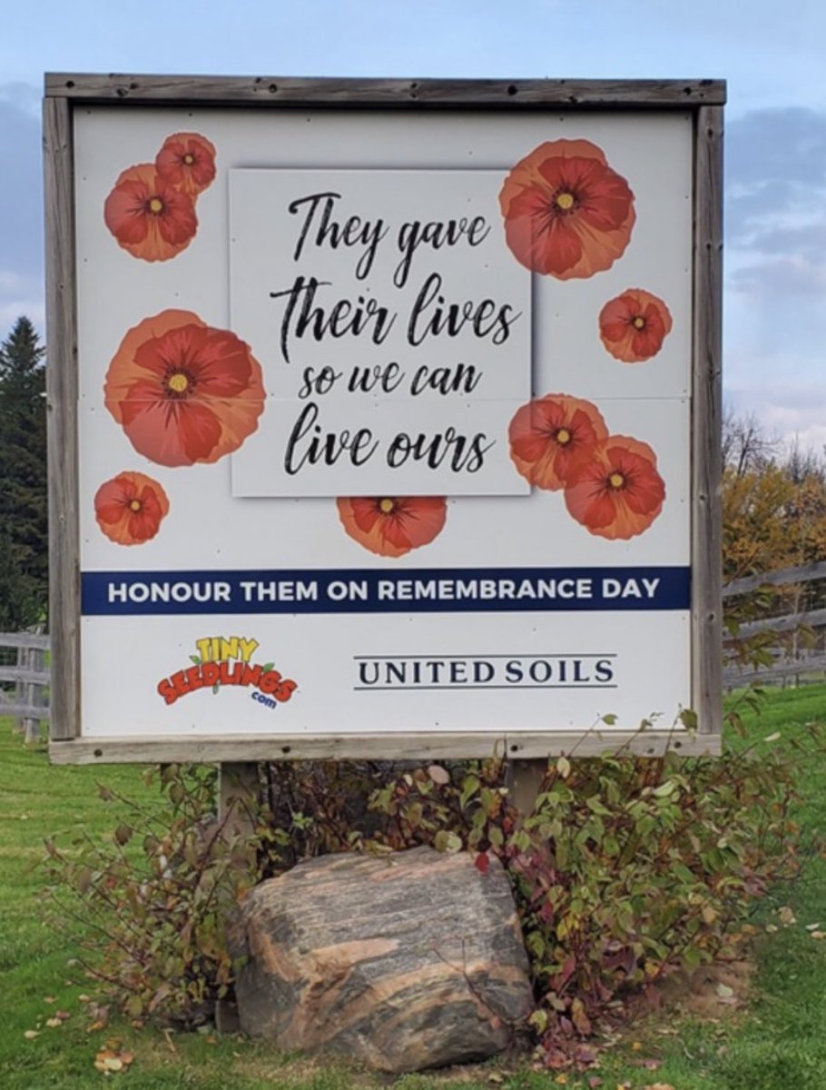 SoilsLtd's tweet photo. Remembering those who gave their lives for the freedom we have today. May we never forget. https://t.co/6FUgCEaNrE