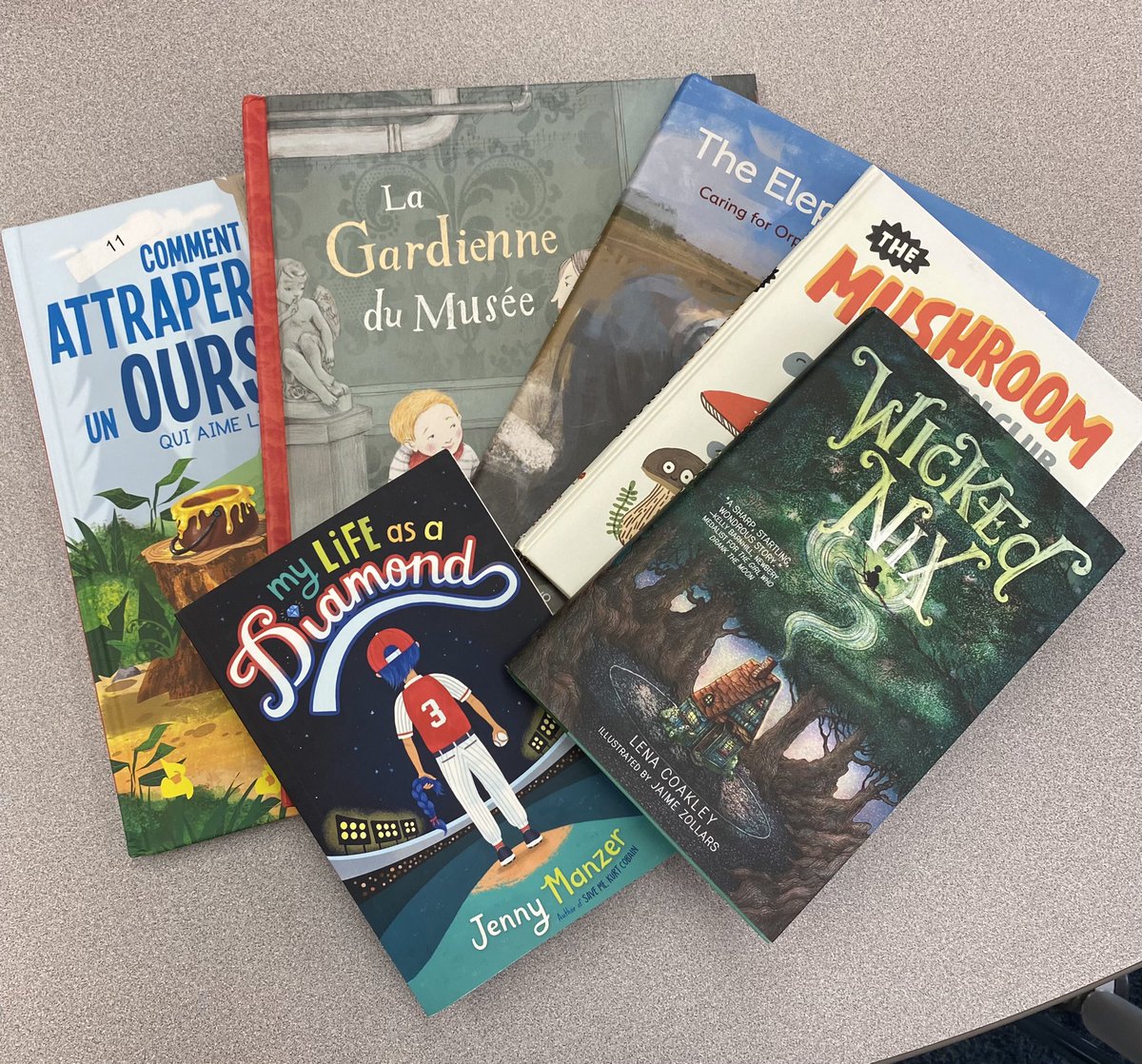 BurntElmLLC's tweet photo. Thank you so much to @ONLibraryAssoc for choosing us for the mystery pack. I received  these amazing books today! The students @burntelmps will love them. @LorinaDC5 @PDSB_Libraries @PeelSchools https://t.co/mA3rdE6Mda