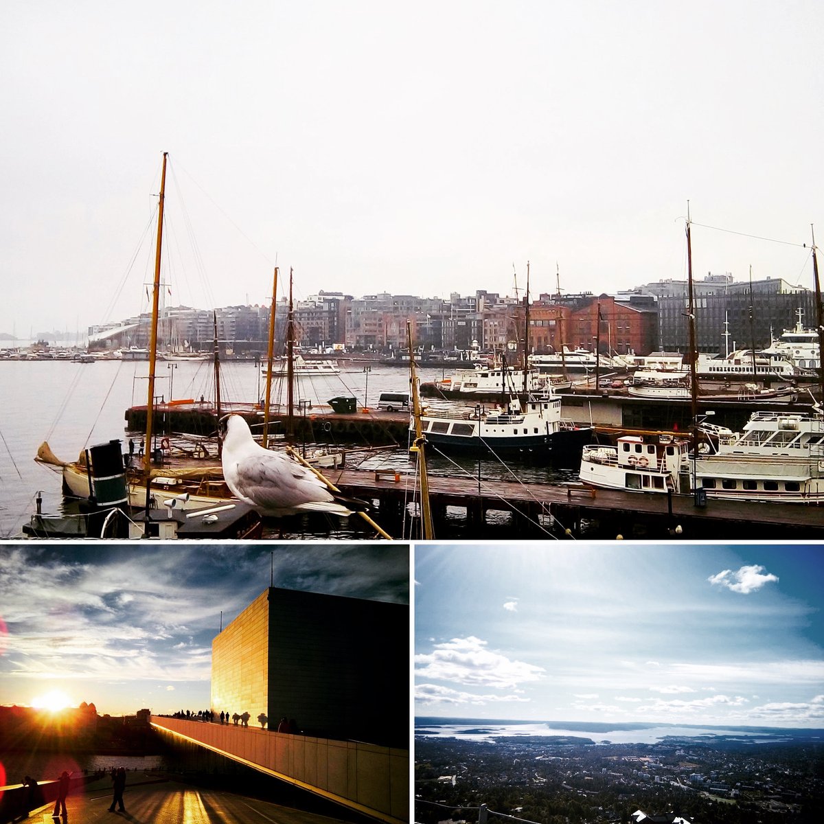 Shipping to 🇳🇴 Norway, Oslo 🇳🇴
Sending photo greetings.
By our #IVFcouries.