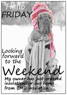 insulation_help's tweet photo. Were all looking forward to the weekend but if your sat at home and feeling the cold then check your loft insulation is up to spec if not see https://t.co/IZxqh8QXFg for some great deals https://t.co/XUYo7qUU5G