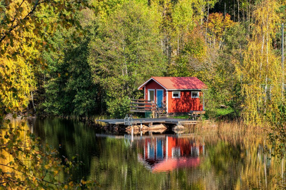 cottagelife's tweet photo. 4 closing-up tasks you don’t want to forget https://t.co/mFWSFlmuhw
#OffSeason #ClosingUp #Cottage https://t.co/d4VRVNc16N