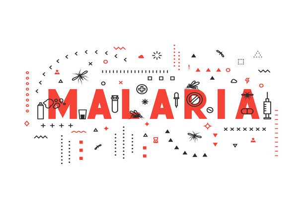 nicd_sa's tweet photo. Experts from @nicd_sa collaborated on another insightful piece for @TC_Africa, explaining the steps South Africa is taking towards eliminating #malaria by 2023. Read the full article here: https://t.co/0t9jtCSfSf
#SADCMalariaWeek
#MalariaFacts https://t.co/1aCtcZPtWo