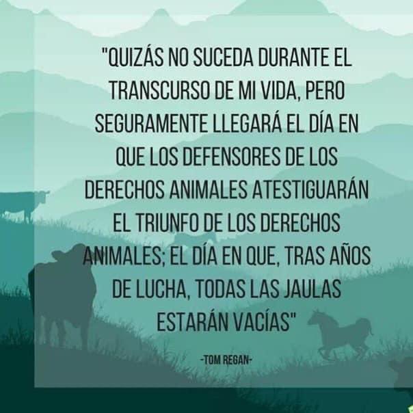gllgina1's tweet photo. Algún día .. #LiberenAEly #todaslasjaulasabiertas https://t.co/iyLL6dQioQ