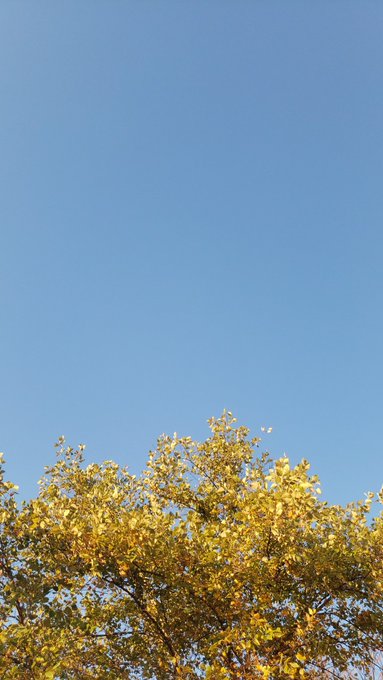 Clear blue skys https://t.co/XNKPbgQVTx