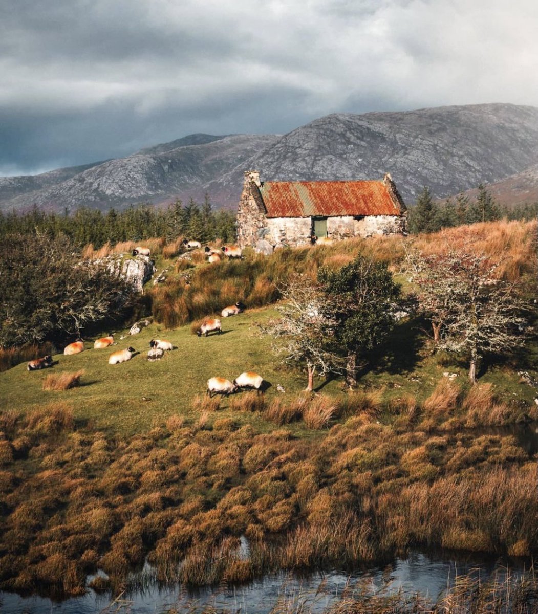 𝗚𝗮𝗹𝘄𝗮𝘆 𝗧𝗼𝘂𝗿𝗶𝘀𝗺 tweet media