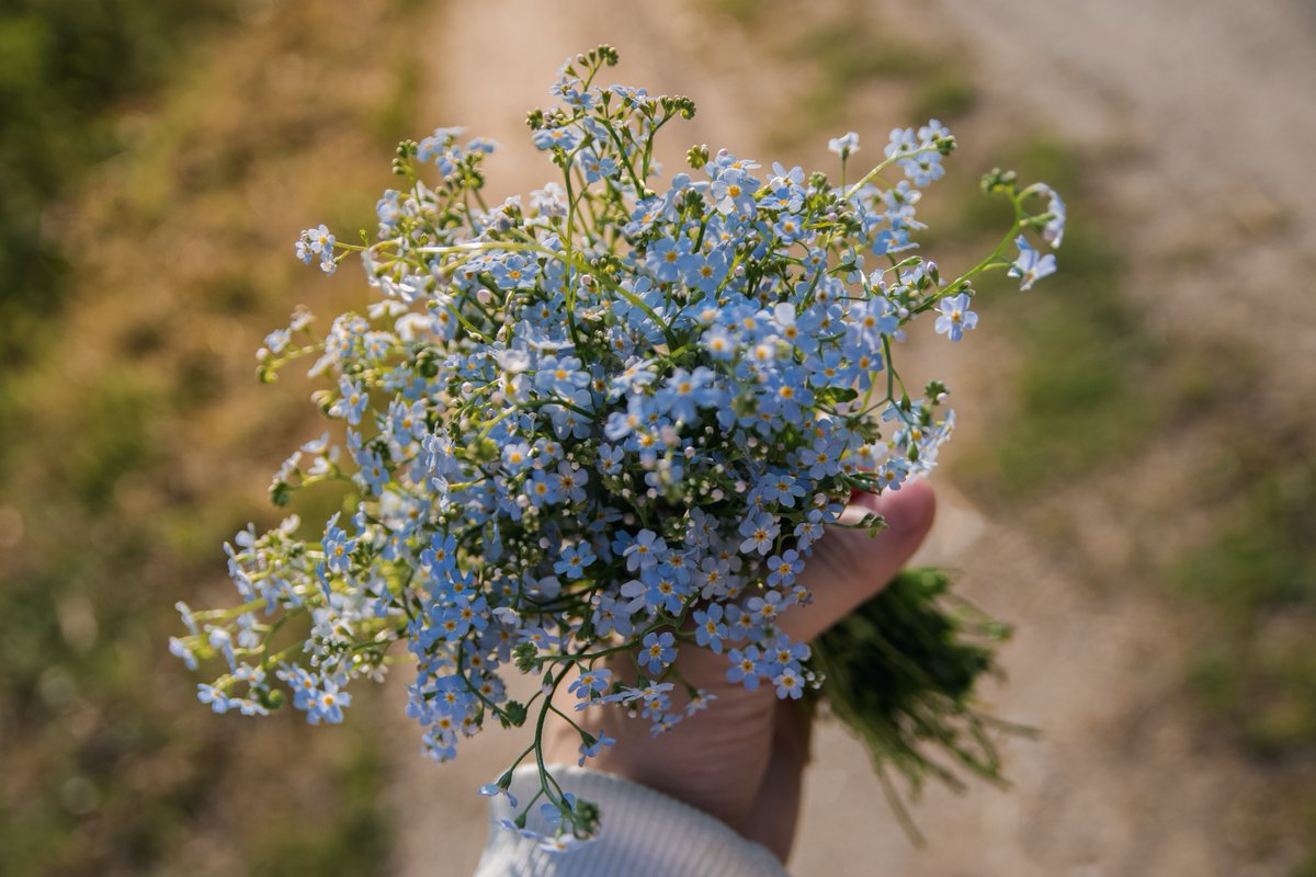 Bijna 5 miljoen onzichtbare helden zorgen in ons land dagelijks en vrijwillig voor mensen met een ernstige ziekte of handicap. Verras op 10 november een mantelzorger met een compliment, een kaartje, een bos bloemen of een etentje. Meer tips en gifjes: ow.ly/H5AO50GGlyp