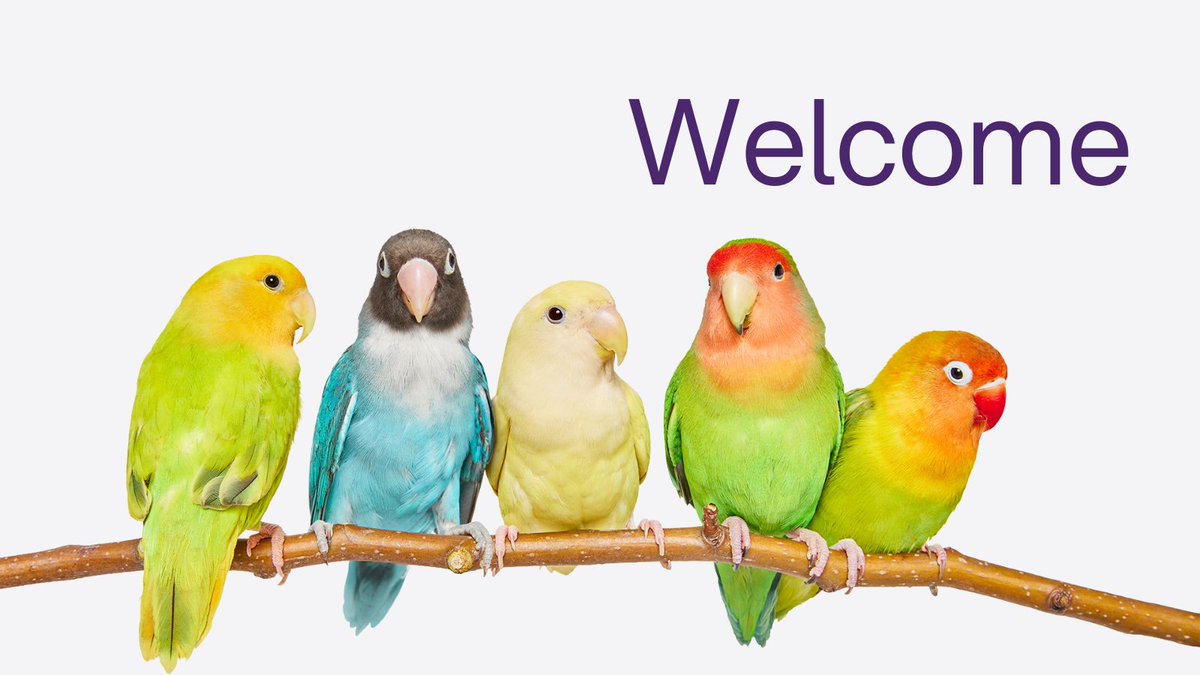 jillschnarr's tweet photo. The @TELUS family is growing: 320,000 customers joined us this quarter (more than EVER before). Welcome to our network of giving and let us know what your favourite critter is! #TELUSDaysOfGood https://t.co/pN2clXbX6o