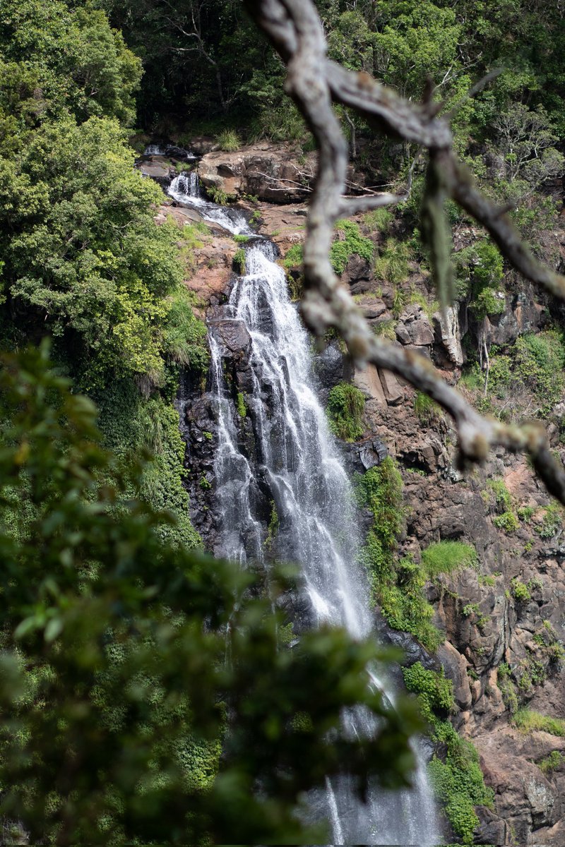 Sharpshotjla's tweet photo. Boy O' boy! Do I love me them fall vibes and tones.
#photography #photographer #fallvibes #falltones #autumntones #NaturePhotography #Waterfall https://t.co/Uv9HmK9UDU