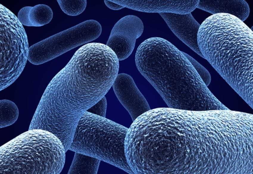 Publicado el documento marco para la Vigilancia Nacional de la Resistencia a los Antimicrobianos buff.ly/3wfn6re <a href="/SaludISCIII/">Instituto de Salud Carlos III (ISCIII)</a> <a href="/SalutGOIB/">Conselleria de Salut</a> <a href="/apmallorca/">Gerència d'Atenció Primària de Mallorca</a> <a href="/asmen_ibsalut/">Àrea de Salut de Menorca</a> <a href="/asef_ibsalut/">asef</a> <a href="/microHUSE/">Microbiología Clínica HUSE</a> <a href="/MIRSonEspases/">Medicina Interna - Hospital Son Espases</a> <a href="/elcomprimido/">elcomprimido</a> <a href="/elfarodehuse/">Farmacia Son Espases</a>