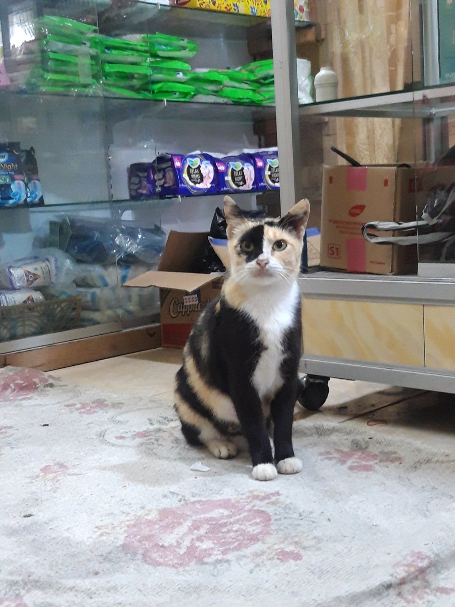 bob🎸 (@chocobin_) Twitter