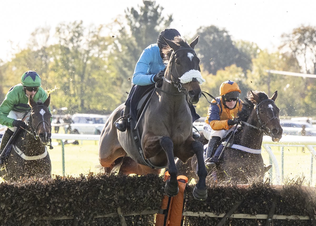 FontwellPark's tweet photo. RACE 1 RESULT –  @CasumoCasino Bet 10 Get 10 Maiden Hurdle 

🥇 World Of Dreams 
🥈 Bari Breeze
🥉 Checkitsme

Jockey: @Rex_Dingle

Trainer: @ajhoneyball

Owners: Atlantic Racing &amp; R W Huggins

📸: @dcoolimages https://t.co/PV5CHlTcld