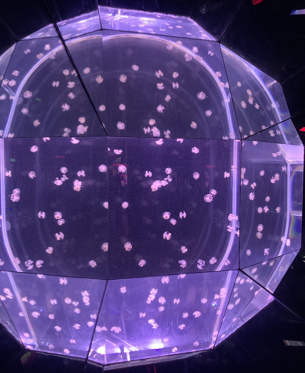 Jessica B tweet media