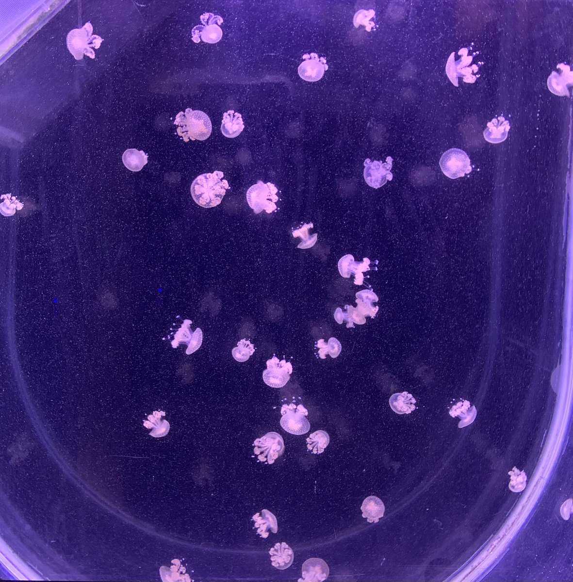 Jessica B tweet media