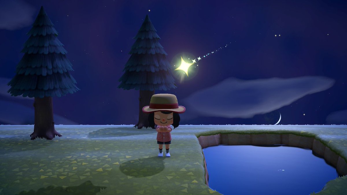 fafawilbur's tweet photo. in other news, buchi got its first meteor shower tonight! https://t.co/EyKsN43z9o
